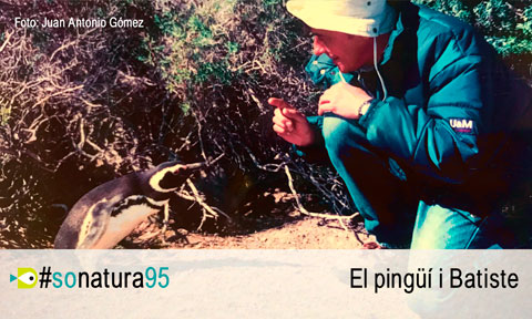 El So de la Natura 95: Els pingüins 