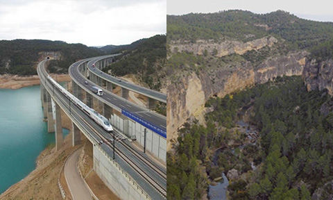 Derecho ambiental, David contra Goliat