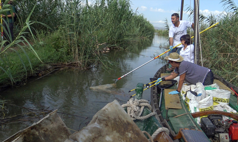 A la pesca del plástico en la Albufera