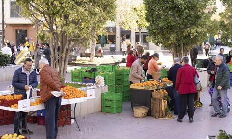 Veure article complet Castelló impulsa la transición agroecológica