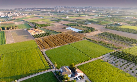 Veure article complet L’Horta de València, clave en el cambio del modelo agroalimentario