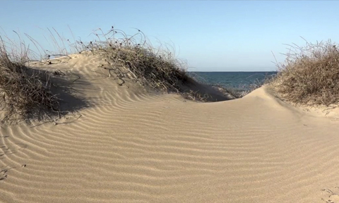 Más arena, menos hormigón: las dunas y la defensa natural del litoral
