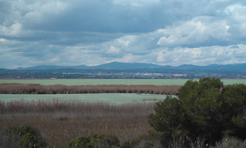 Arranca el Plan de Acción del Contrato de Humedal de l’Albufera de València 