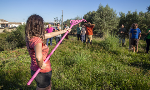 El fòrum VISC! marca els passos de la transformació ecosocial de la província de Castelló.