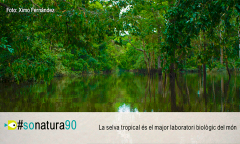 El So de la Natur  90 - Selva tropical