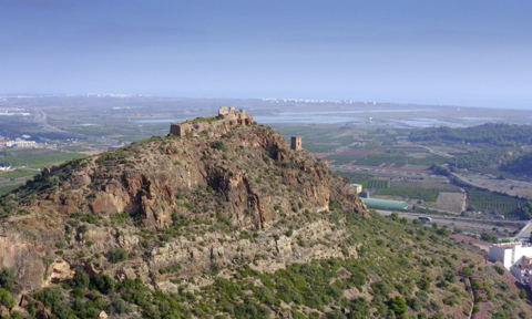 La marjal d’Almenara, un paraiso ornitológico