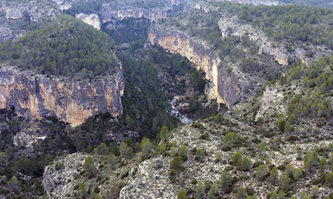 Les Gorges del Cabriol: l'asfalt que va donar pas a la conservació.