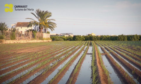 El Carraixet, territorio birdwatching