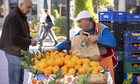 Veure article complet Sabora: el nuevo Mercat Agroecològic de venta directa en Castelló
