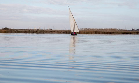 Treinta miradas a la complejidad de la Albufera