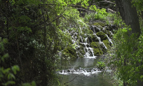Veure article complet Rio Bohilgues en el Rincón de Ademuz. Uno de los ríos más limpios de Europa.
