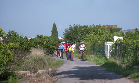 Pedaleando por la marjalería castellonense